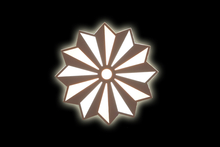 Ceiling Light XD-W129