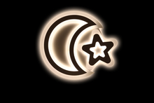 Ceiling Light XD-W113