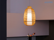 Pendant Light BAM-230262