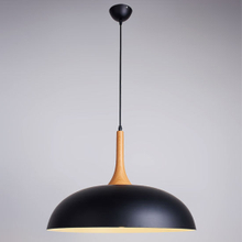Pendant Light ALP-W003