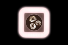 Ceiling Light XD-W044