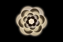 Ceiling Light XD-W051