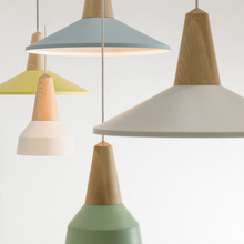 Pendant Light ALP-W059